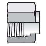 Seal-Lok O-Ring Face Seal - Cap with Metric Hex